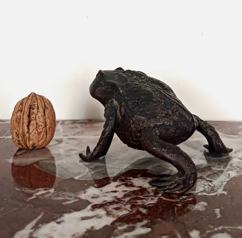 Kunstkammer - Rospo in bronzo patinato - stile rinascimentale da Padova