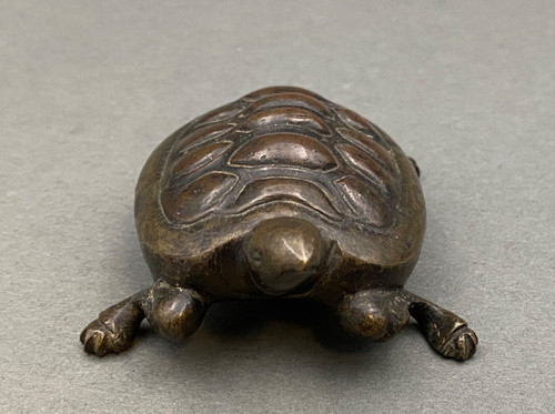 Turtle in 19th-century bronze with chocolate brown patina and fine chasing