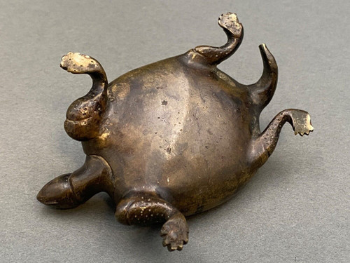 Turtle in 19th-century bronze with chocolate brown patina and fine chasing