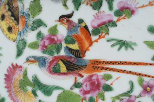 19th century Canton porcelain plate with floral and butterfly design