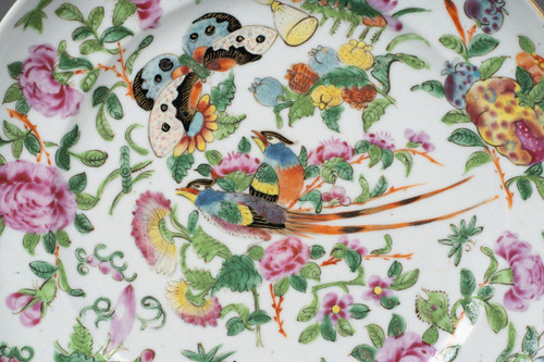 19th century Canton porcelain plate with butterfly and bird design
