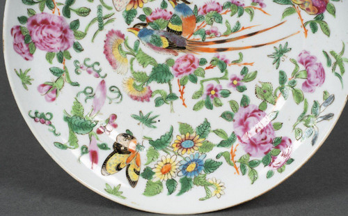 19th century Canton porcelain plate with butterfly and bird design