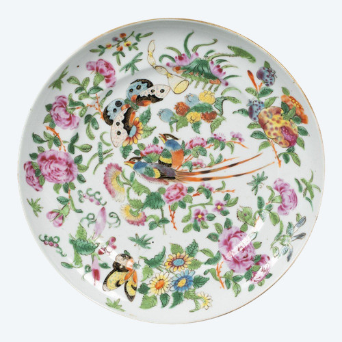 19th century Canton porcelain plate with butterfly and bird design