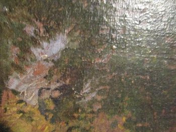 "Forête de Fontainebleau