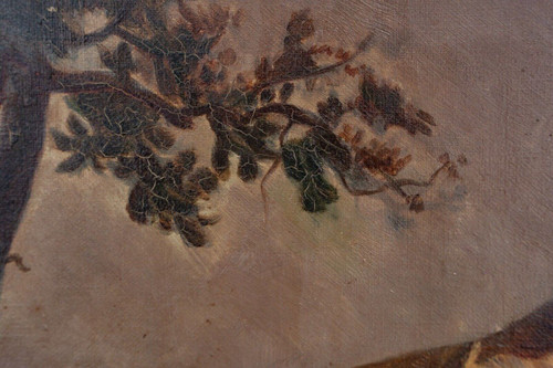 Huile sur toile taureau se frottant contre un arbre d'après Brascassat