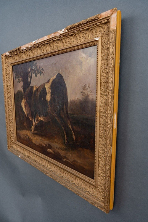 Huile sur toile taureau se frottant contre un arbre d'après Brascassat