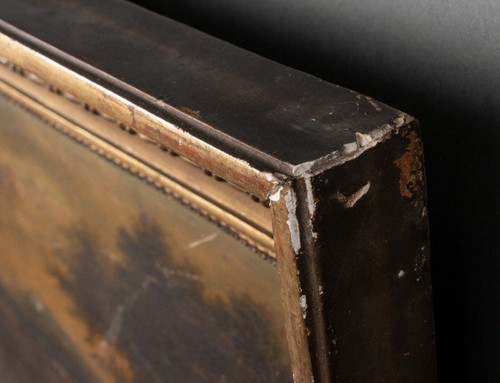 Olio su tavola Cornice sottobosco del periodo del Restauro con palmette