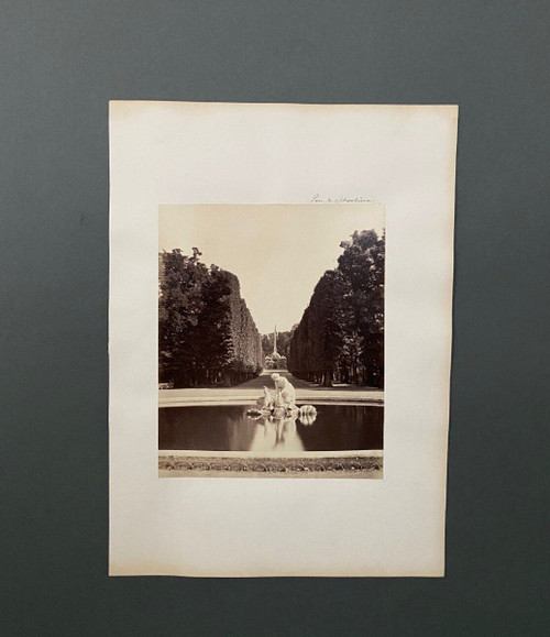 Photo Parc de Schoenbrunn XIXe albumine carton contrecollé