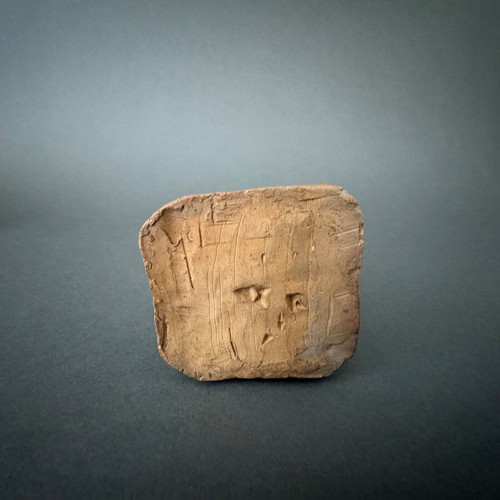 Terracotta firmata L. Desborde XIX secolo Uno studente del 1° anno