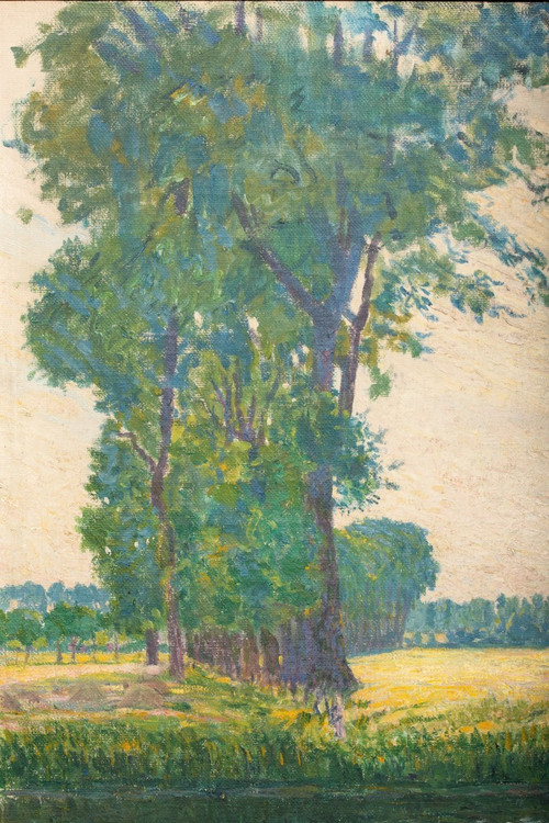 Vue d'Afsnee par Fritz Van Loo (1871-1957)