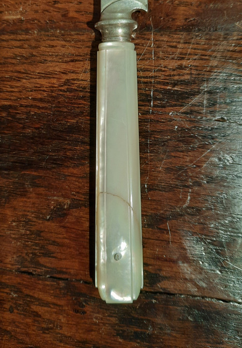 Diciotto coltelli in argento massiccio e madreperla in una custodia in palissandro del periodo Napoleone III.