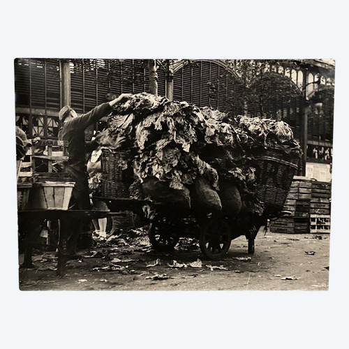 Silver print Bernard Darot XXth Cabbage cart