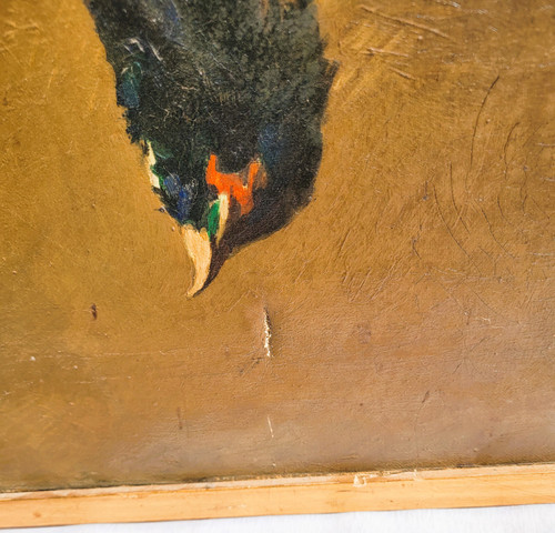 Paar Stillleben mit Fasanen Öl auf Leinwand zu restaurieren Ende XIX.