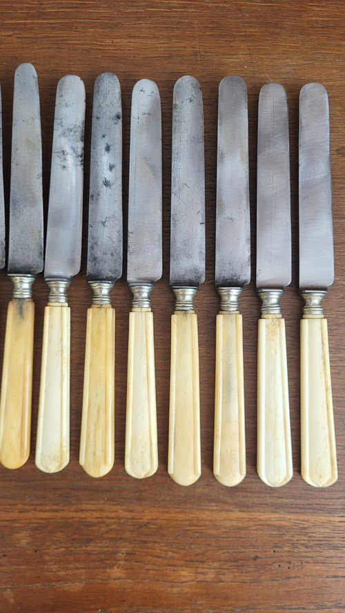 12 Messer, Stahlklinge, Elfenbeingriff, 19. Jahrhundert