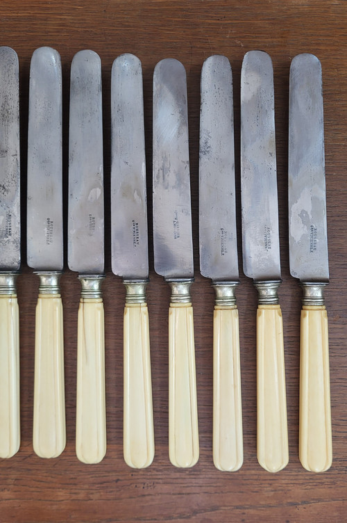12 table knives, steel blade and ivory handle