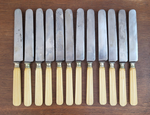 12 table knives, steel blade and ivory handle