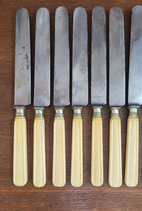 12 table knives, steel blade and ivory handle