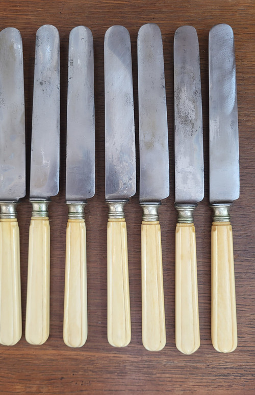12 table knives, steel blade and ivory handle