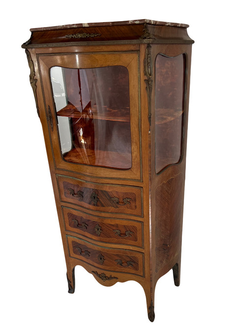 Rare Louis XV Display Case 19th Century