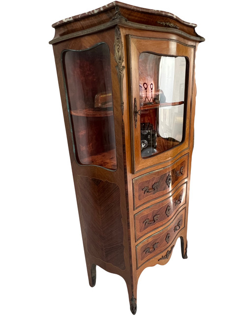 Rare Louis XV Display Case 19th Century