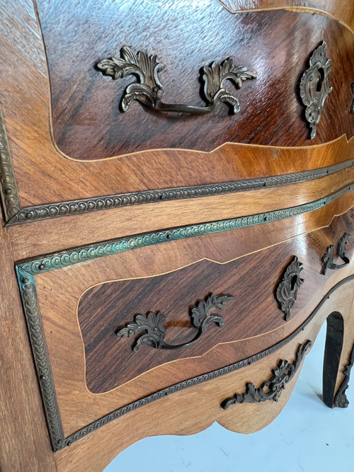 Rare Louis XV Display Case 19th Century