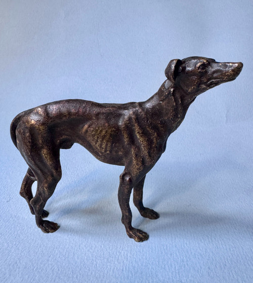 Greyhound in bronze from Vienna, dog sculpture