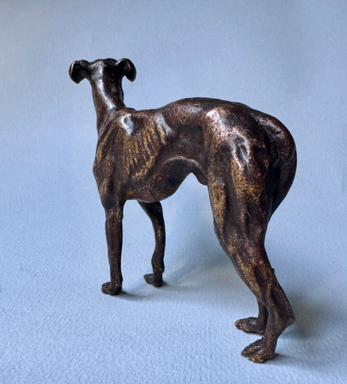 Greyhound in bronze from Vienna, dog sculpture