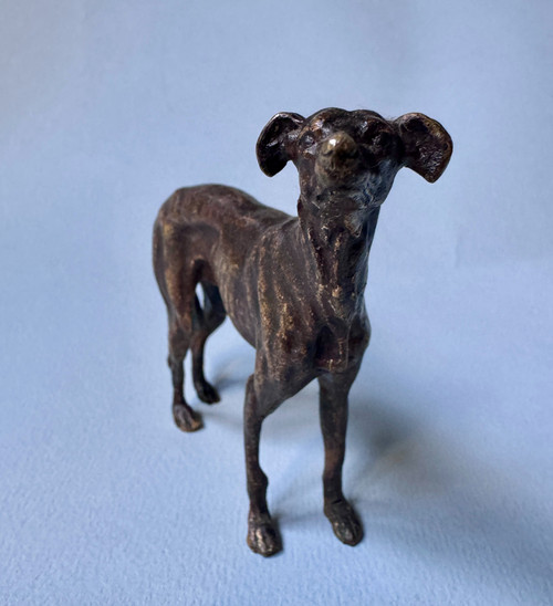 Greyhound in bronze from Vienna, dog sculpture