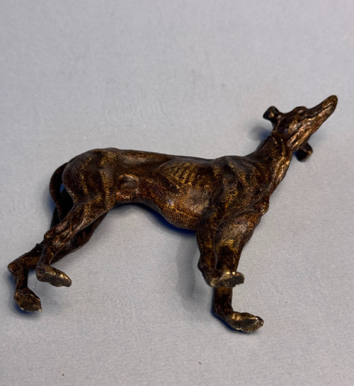 Greyhound in bronze from Vienna, dog sculpture