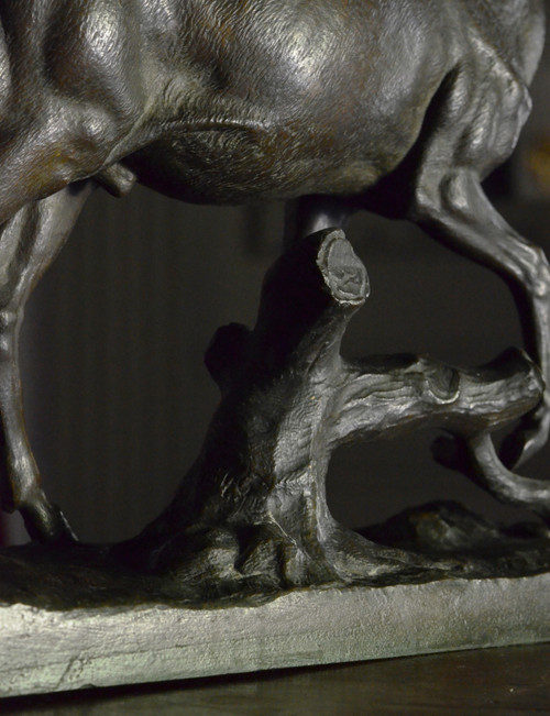 Grande animale in bronzo / cervo / giovane fonditore gruet