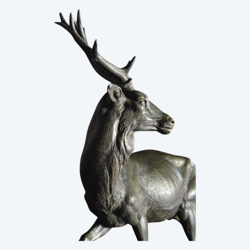 Grande animale in bronzo / cervo / giovane fonditore gruet