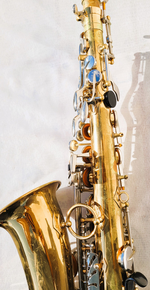 Sakura saxophone with case
