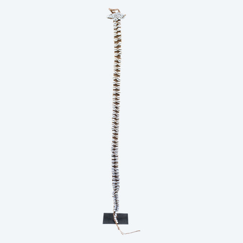 Körperschmuck, Traditionell, Tribal Art, Ozeanische Kunst, Ozeanien, Papua-Neuguinea