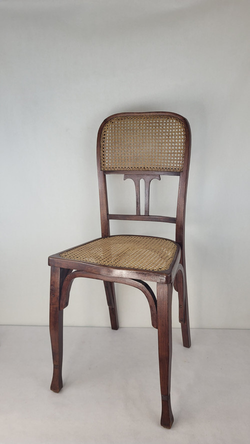 2 sedie in legno curvato in stile Art Nouveau