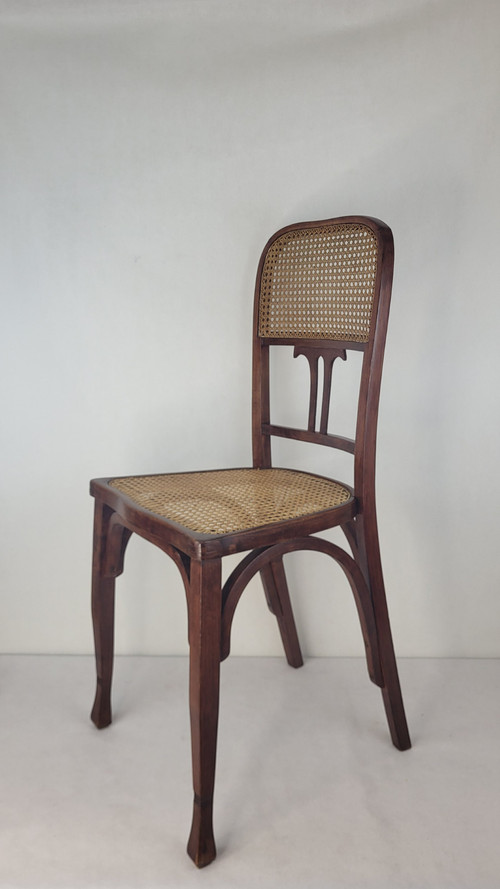 2 sedie in legno curvato in stile Art Nouveau