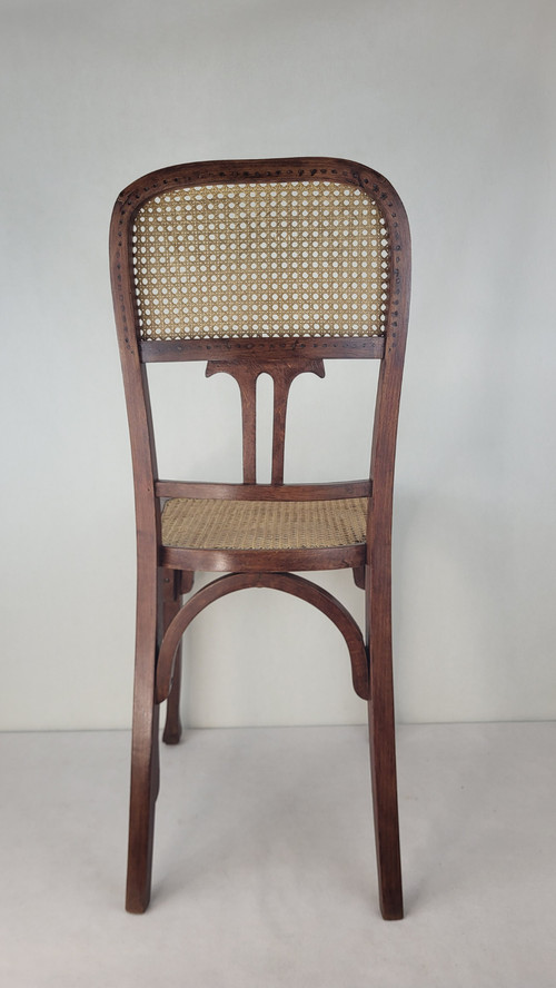 2 sedie in legno curvato in stile Art Nouveau