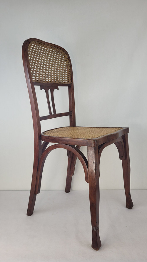 2 sedie in legno curvato in stile Art Nouveau