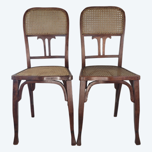 2 sedie in legno curvato in stile Art Nouveau
