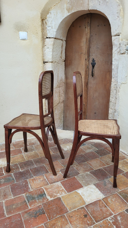 2 sedie in legno curvato in stile Art Nouveau