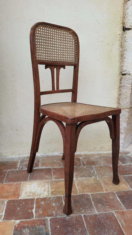 2 sedie in legno curvato in stile Art Nouveau