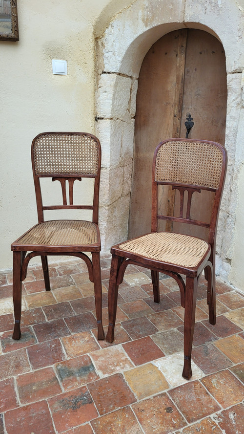 2 sedie in legno curvato in stile Art Nouveau