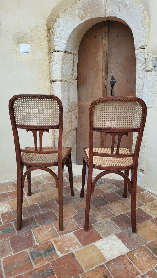 2 sedie in legno curvato in stile Art Nouveau