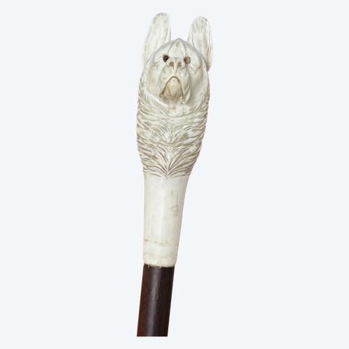 Antique Cane Or Walking Stick Carved Ivory Dog Head Late 19th Century