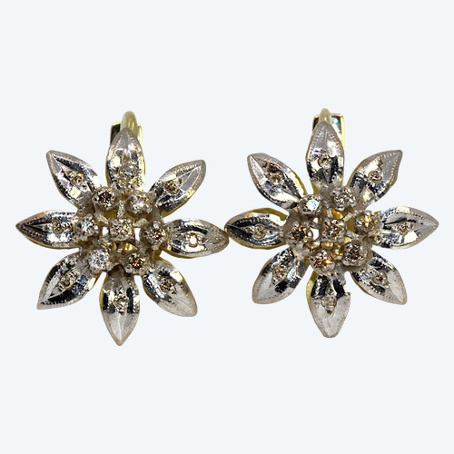 Orecchini con diamanti