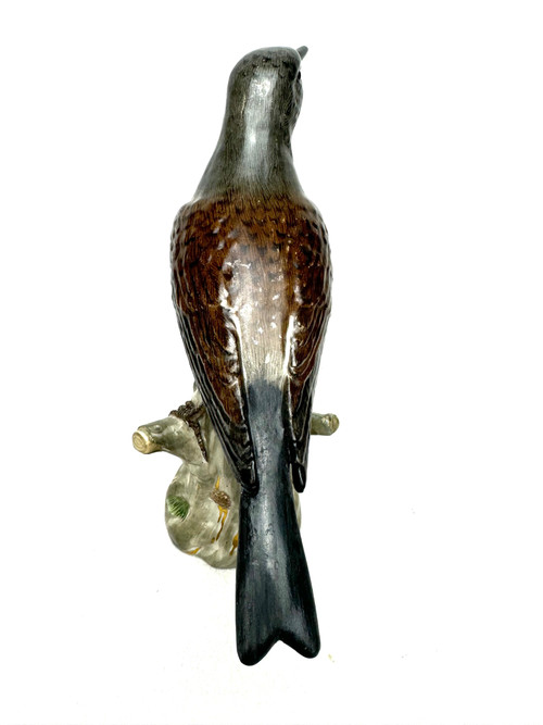 Meissen - Porcelain Figure of a Turdidae