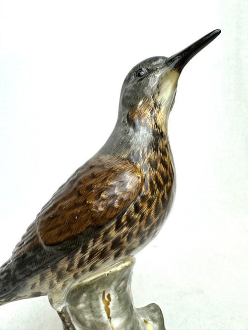 Meissen - Porcelain Figure of a Turdidae