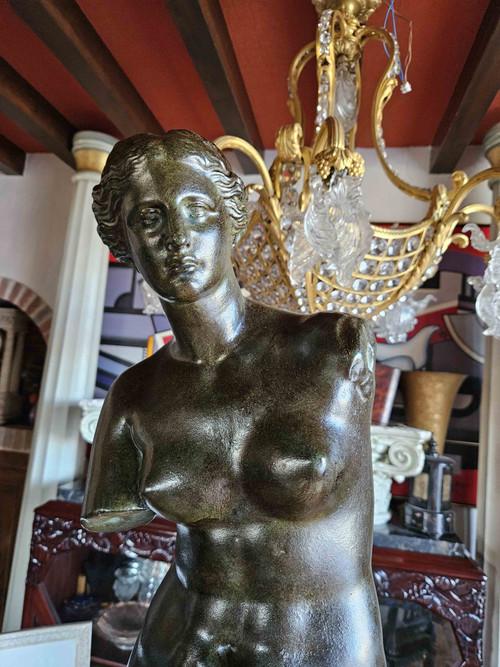 Venere Di Milo Con Patina Bronzo Ht 87 Cm