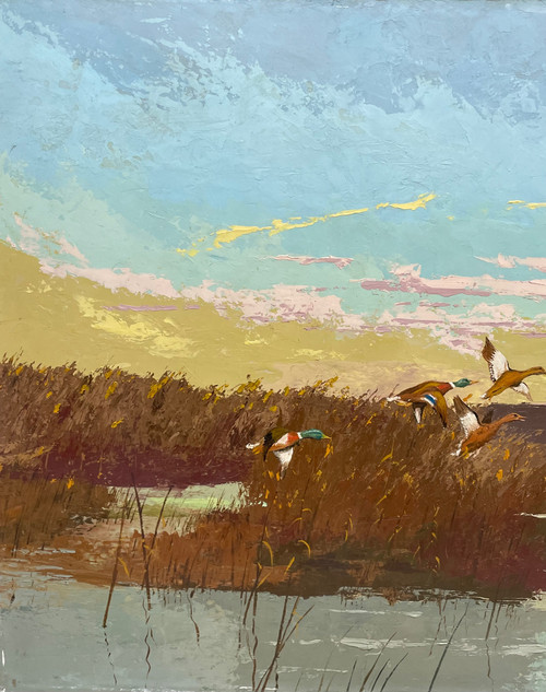 Ducks in pond raising