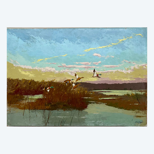 Ducks in pond raising