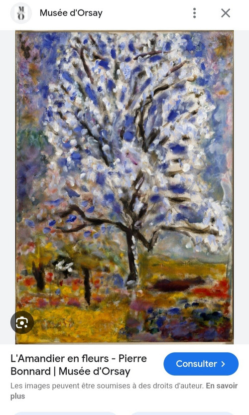 MICHÈLE CASCELLA  1892/1989